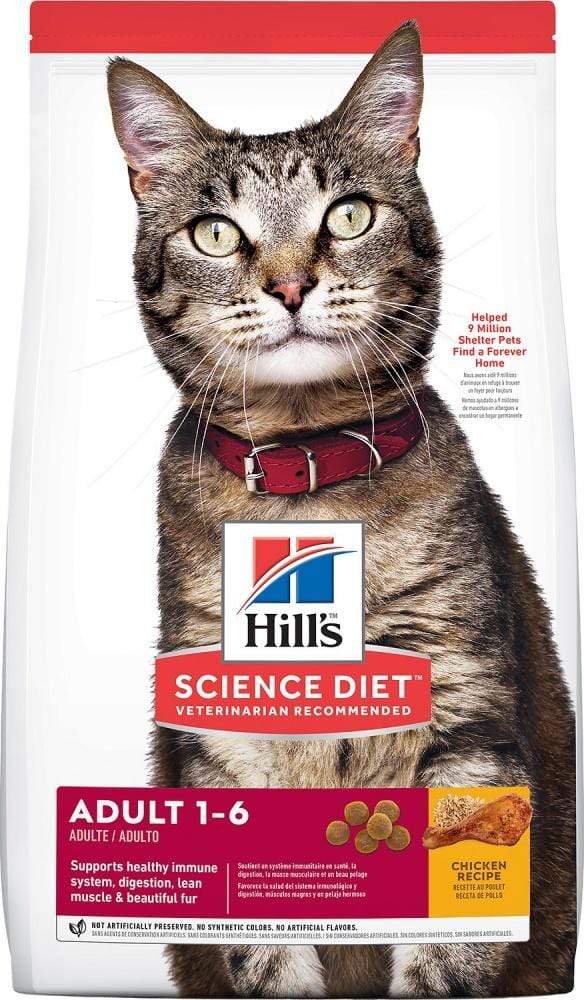 Effective Ways to Optimize Your Mike Tyson Diet in 2025