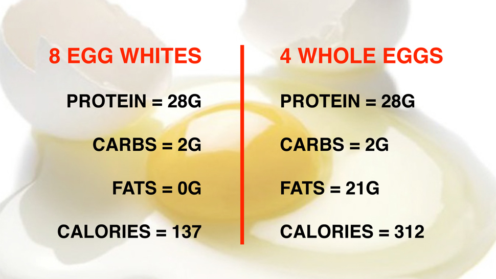 Effective Ways to Optimize Megan Fox's Armadillo Diet in 2025