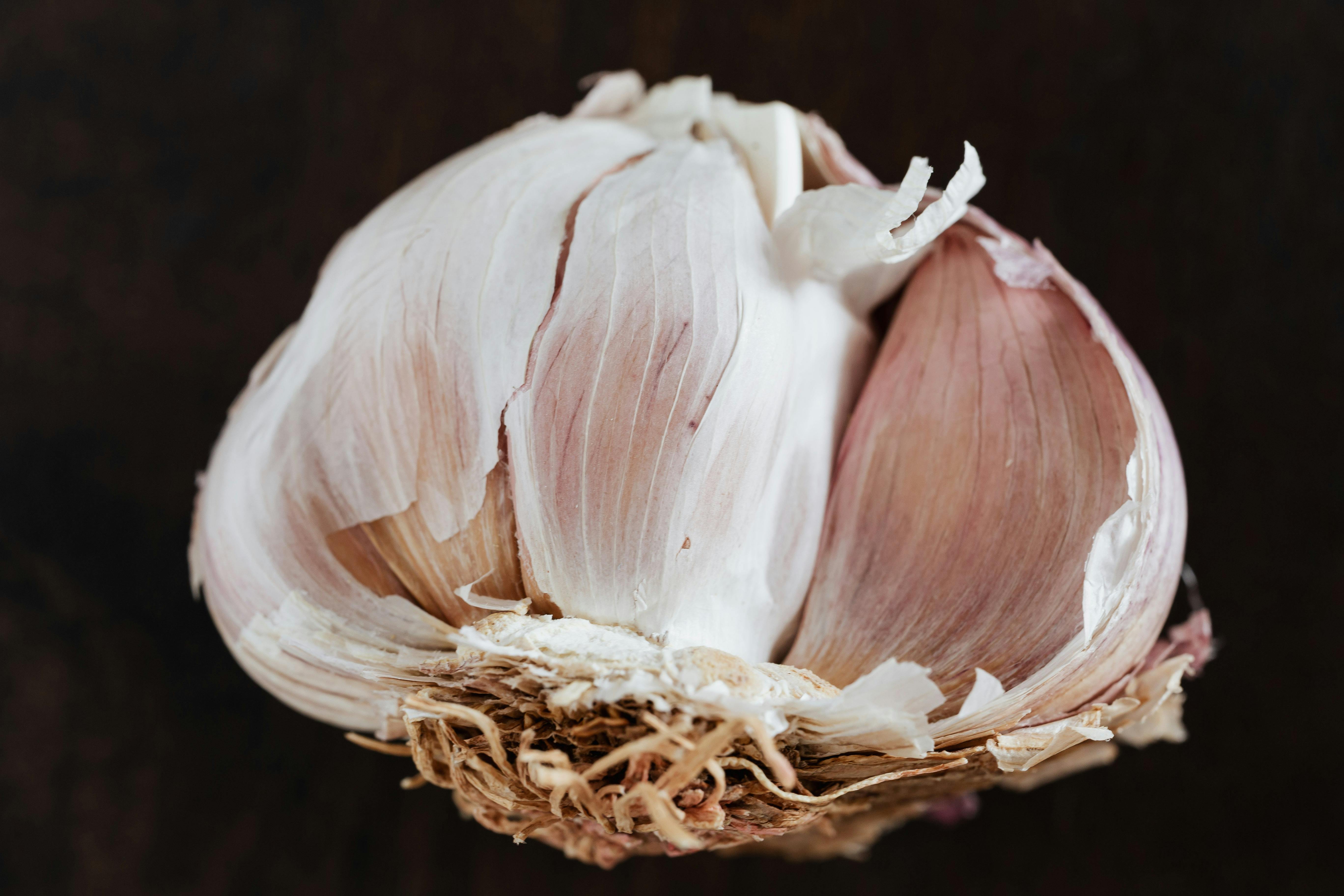 Best 5 Mediterranean Diet Cookbooks to Enhance Your Cooking in 2025