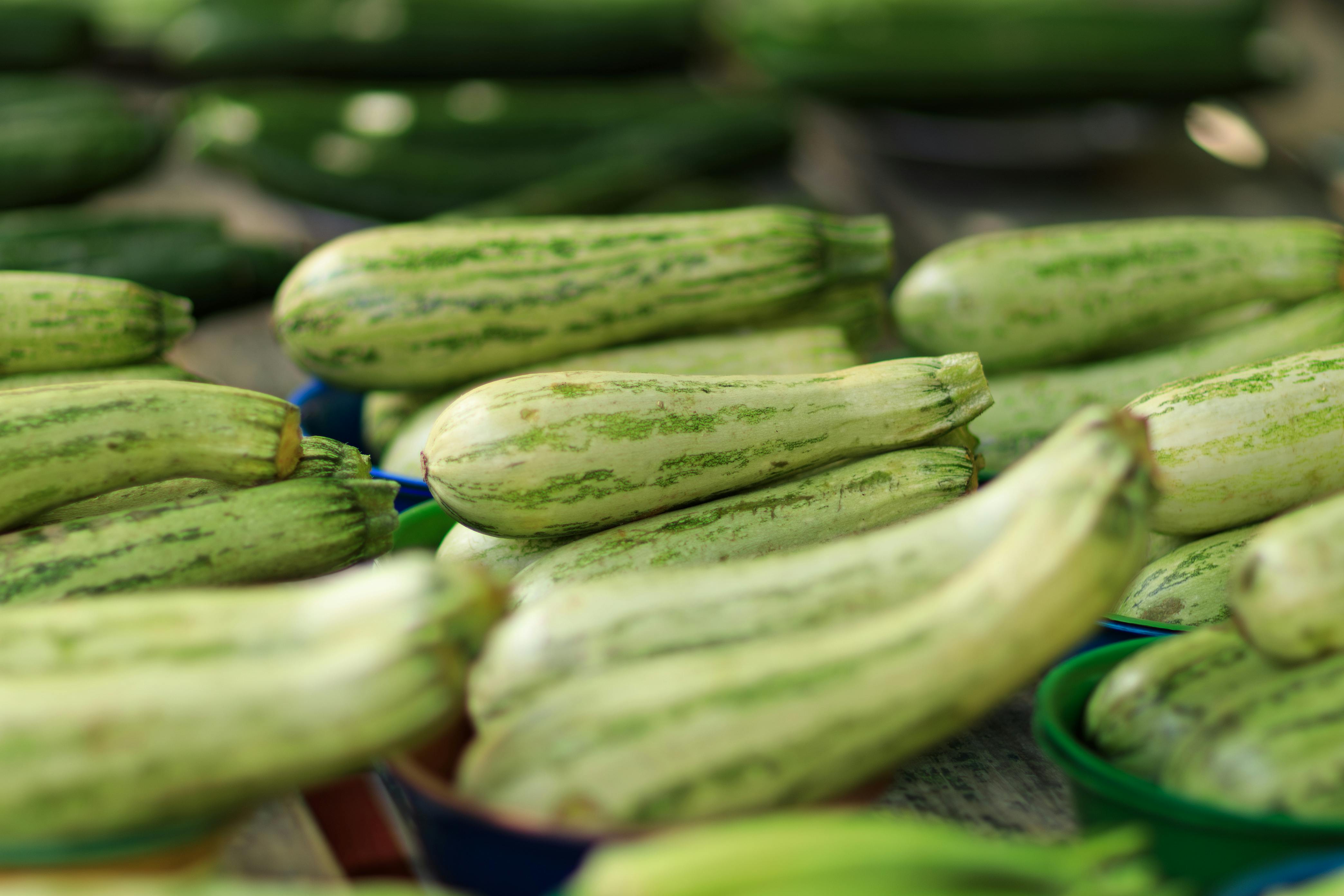 Smart Ways to Explore the Joe Rogan Diet in 2025: Enhance Your Wellness!