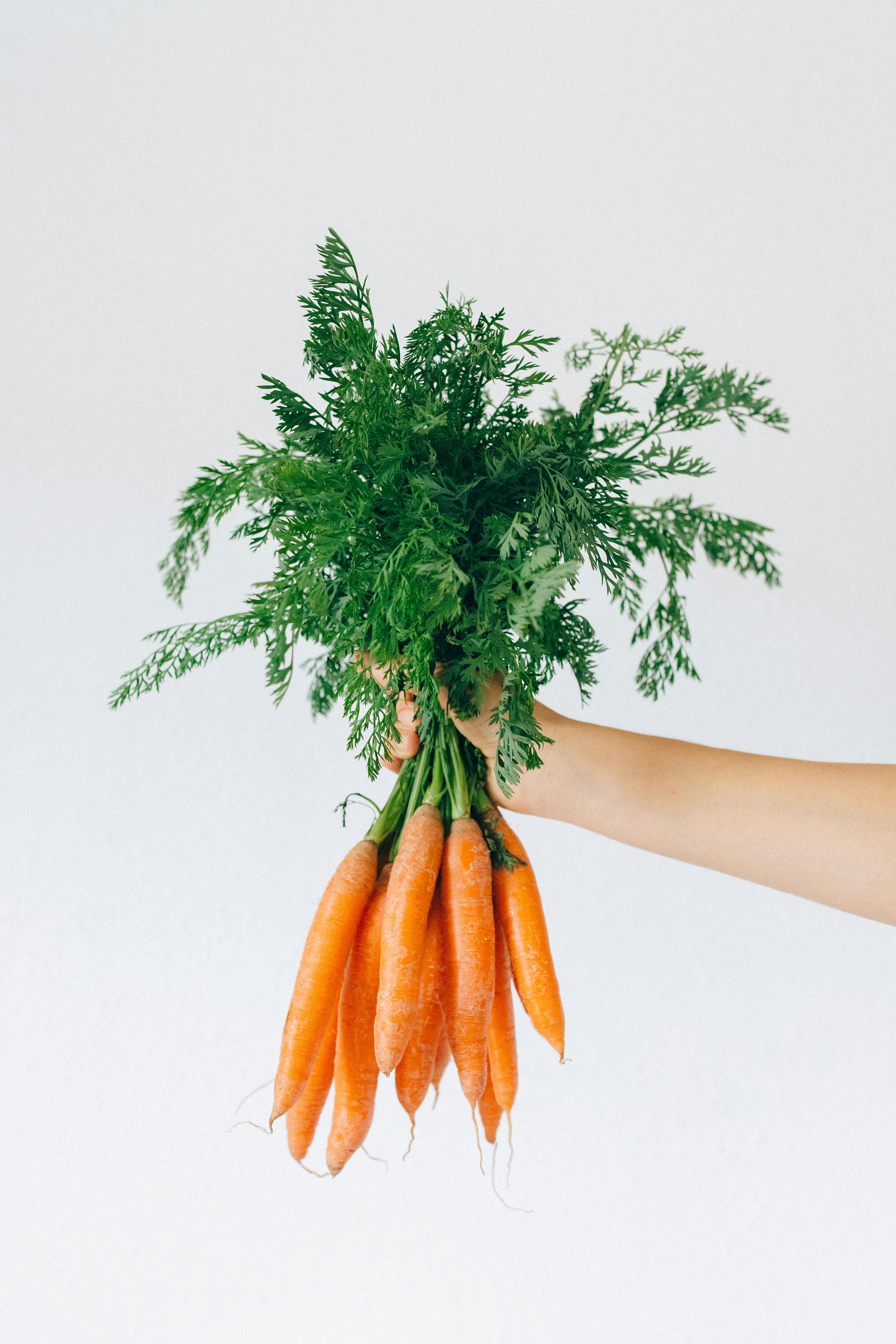 Discover the Best Foods for a B Positive Blood Type Diet: 2025 Guide to Healthy Choices