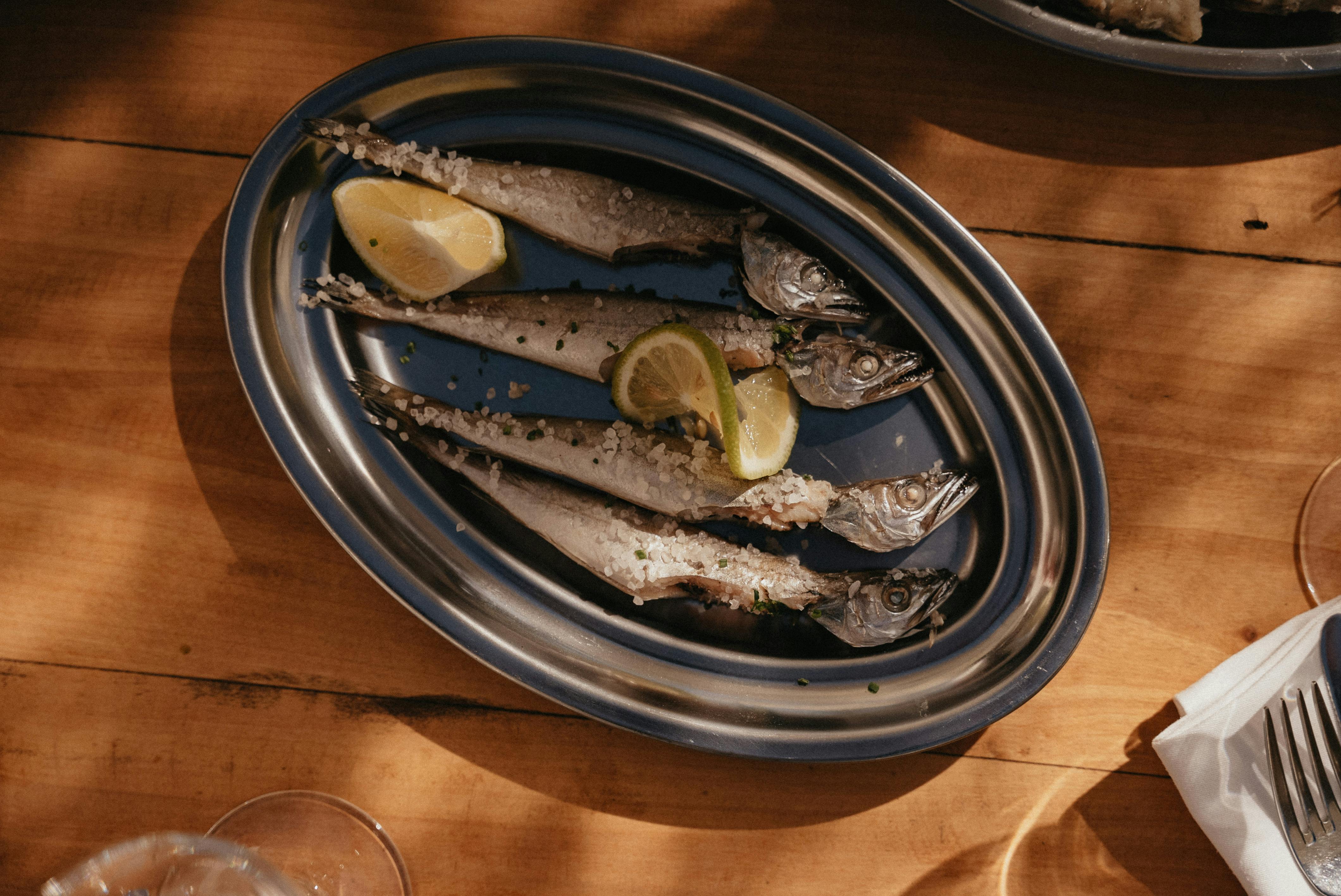 Best 5 Options for Hills Science Diet for Sensitive Stomach 2025