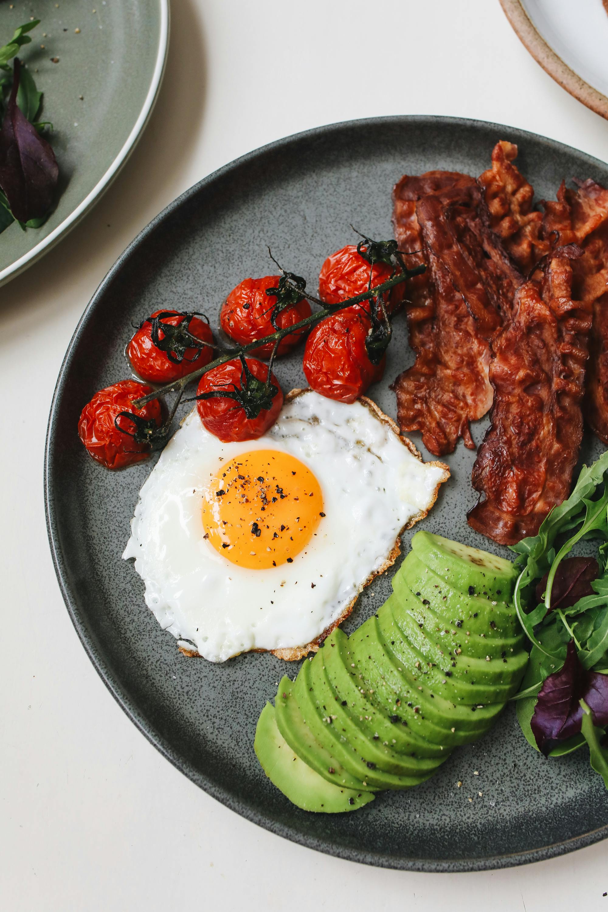 Smart Ways to Select the Best Hills Science Diet Dog Food in 2025