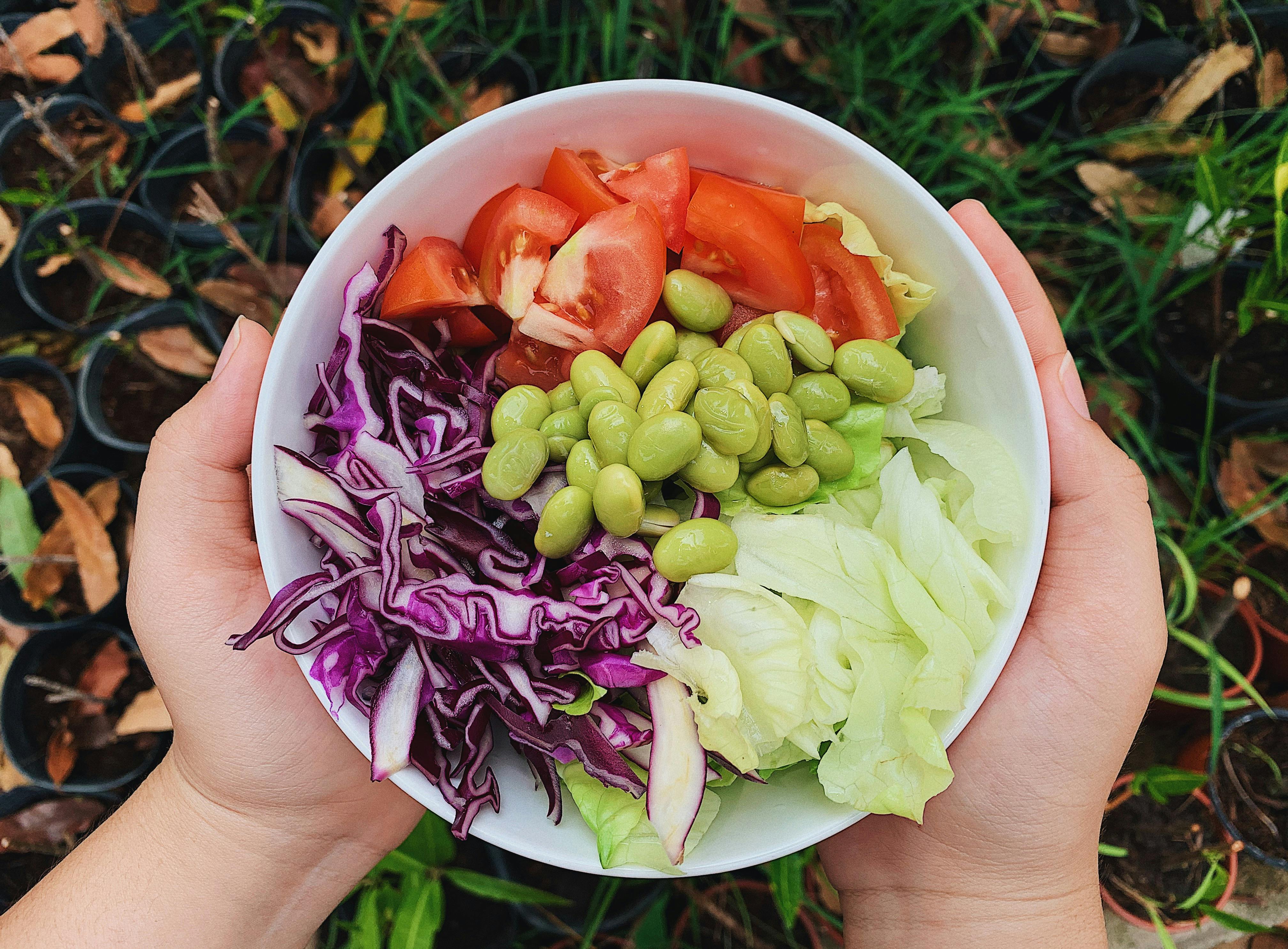 Effective Ways to Optimize Your Alpha Gal Diet in 2025