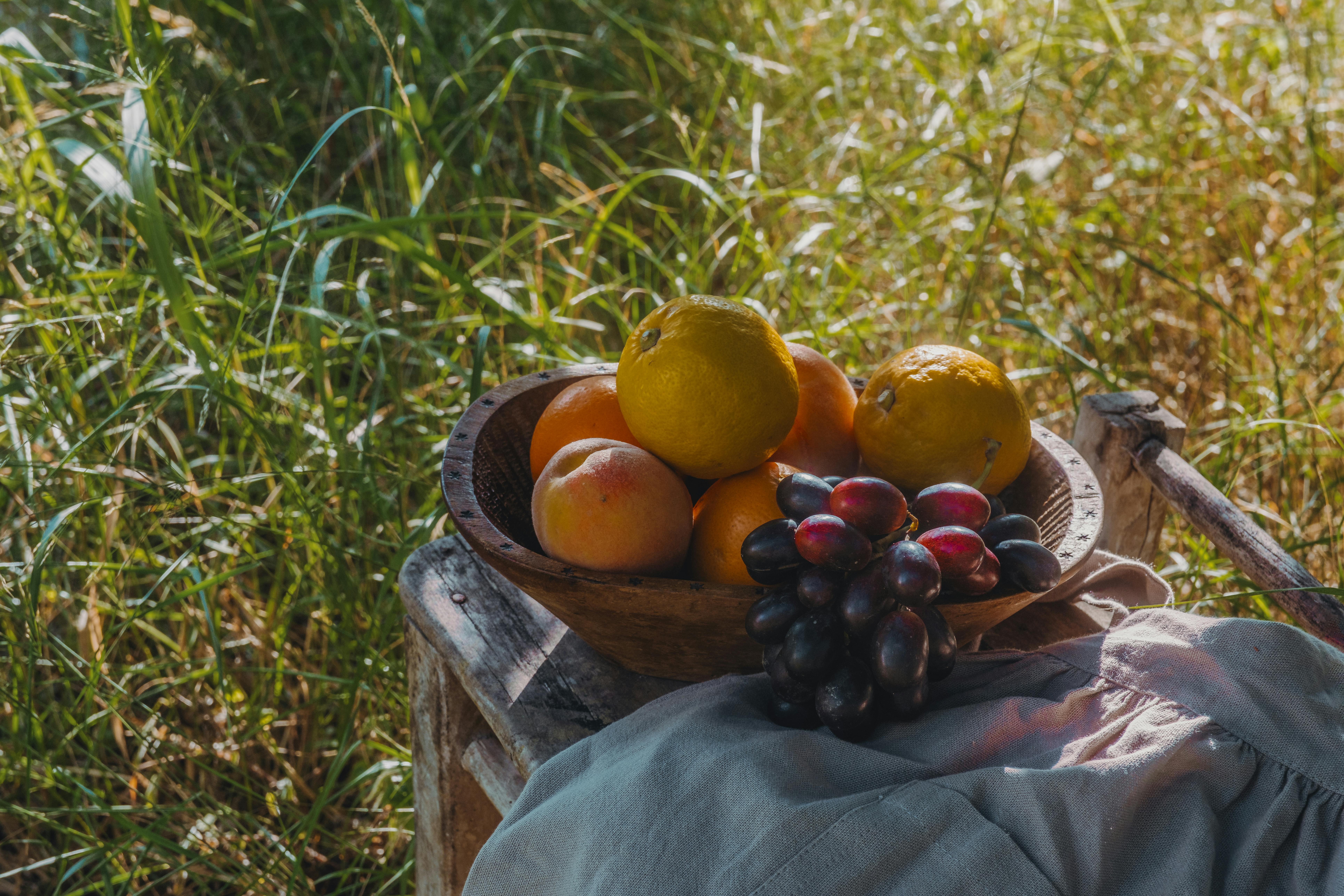Smart Ways to Discover Therizinosaurus Diet and Eating Habits in 2025
