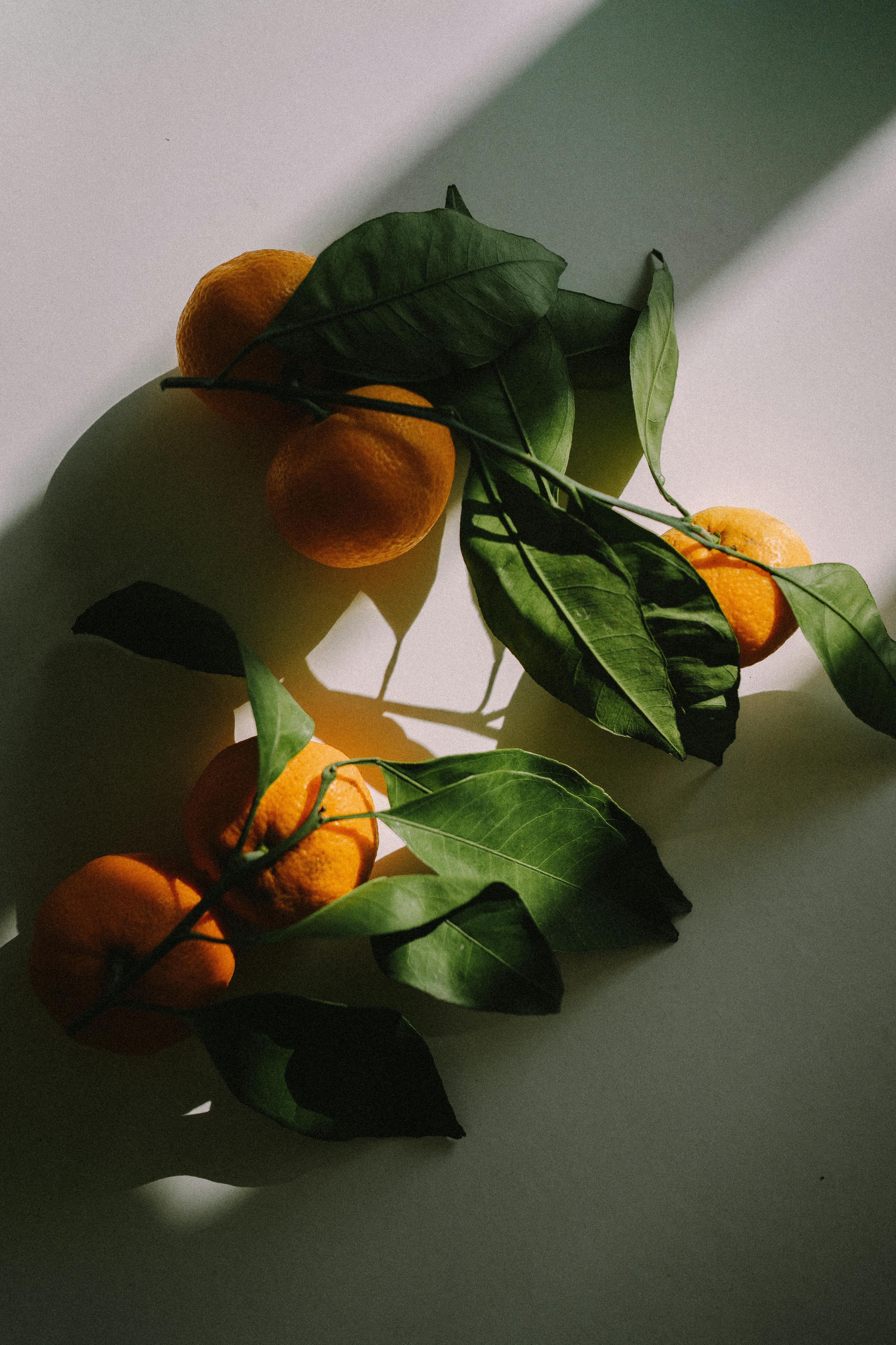 Smart Ways to Enhance Your Wahls Protocol Diet in 2025