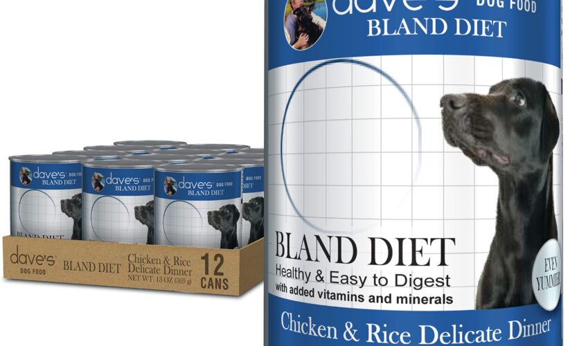 Effective Ways to Manage a Bland Diet for Dogs: Achieve Better Health in 2025