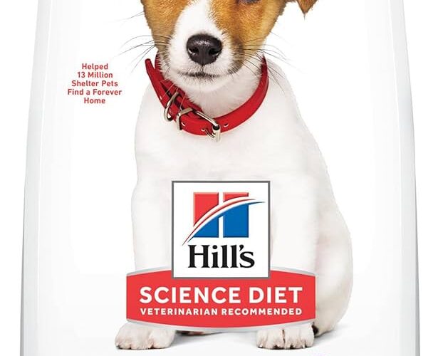 Effective Ways to Choose the Best Hills Science Diet Dog Food for Modern Pet Owners in 2025