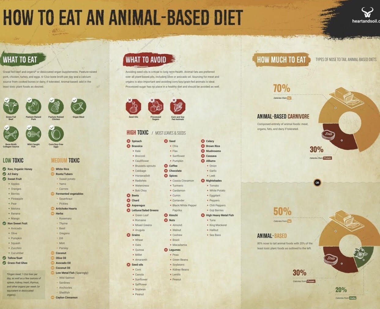 Effective Ways to Optimize Your Animal-Based Diet Food List in 2025