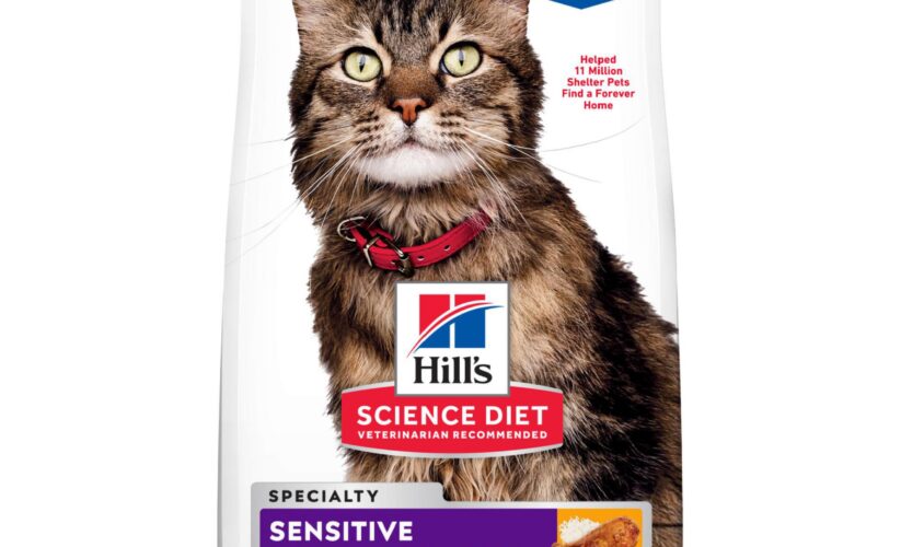 Best 5 Hill’s Science Diet Cat Food Choices to Improve Your Pet’s Health in 2025