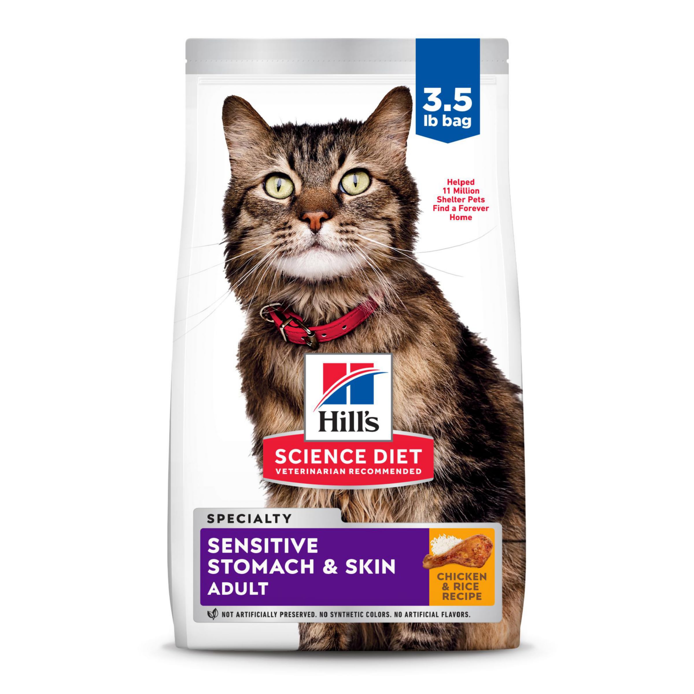 Best 5 Hill’s Science Diet Cat Food Choices to Improve Your Pet’s Health in 2025