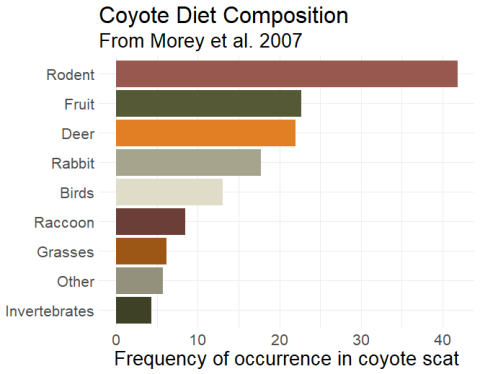 Coyote Diet - Omnivorous Feeding