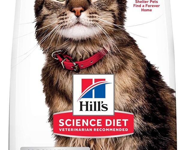 Smart Guide to Hills Science Diet Cat Food: Effective Choices for Healthy Pets in 2025