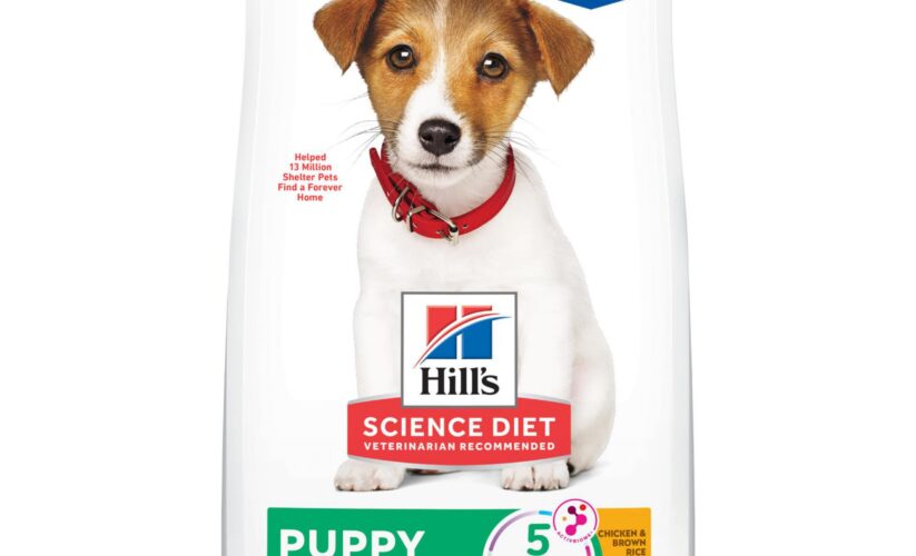 Best 5 Hill’s Science Diet Puppy Options for Healthy Growth in 2025