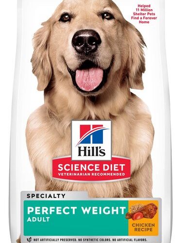 Top 5 Proven Ways to Achieve Your Pet’s Perfect Weight with Hill’s Science Diet in 2025