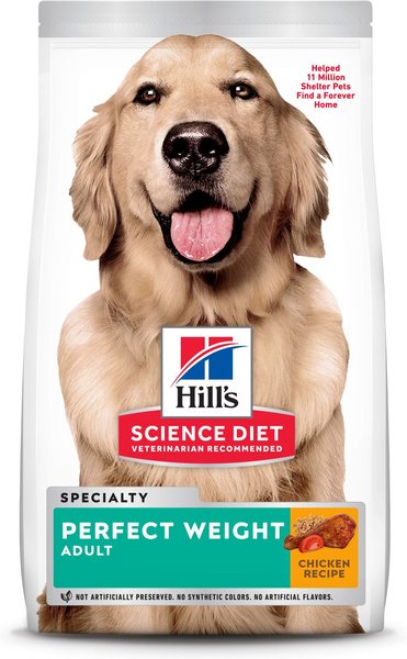 Top 5 Proven Ways to Achieve Your Pet’s Perfect Weight with Hill’s Science Diet in 2025