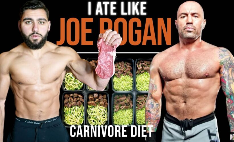 Top 5 Effective Choices for Joe Rogan’s Carnivore Diet in 2025