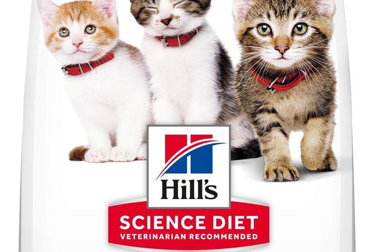 Effective Ways to Choose the Best Science Diet Kitten Food for Healthy Growth in 2025